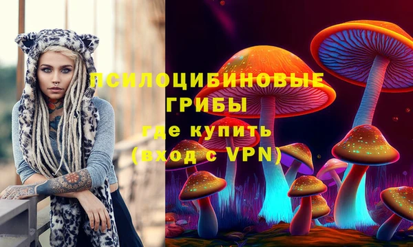 кокаин перу Богданович