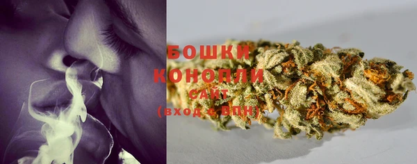 PSILOCYBIN Богородицк