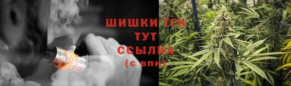 PSILOCYBIN Богородицк