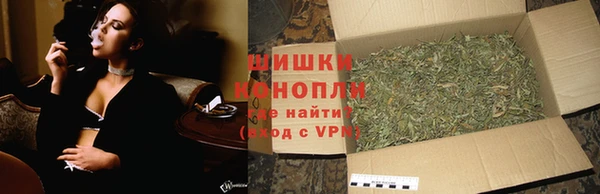 PSILOCYBIN Богородицк