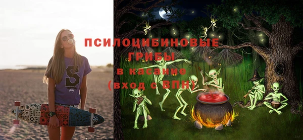 PSILOCYBIN Богородицк