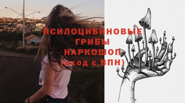 кокаин перу Богданович