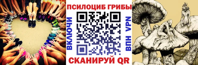 наркота  Сызрань  Галлюциногенные грибы мицелий 